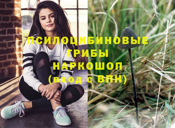 PSILOCYBIN Краснотурьинск
