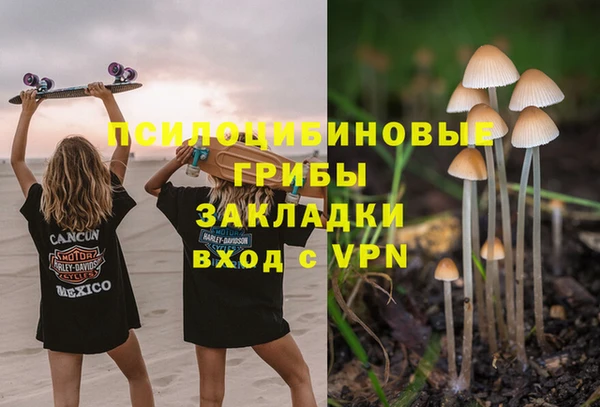 хмурый Краснослободск