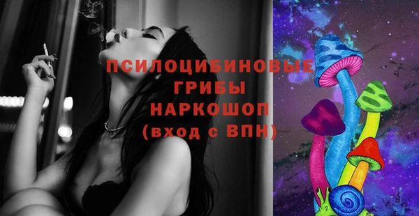 PSILOCYBIN Краснотурьинск