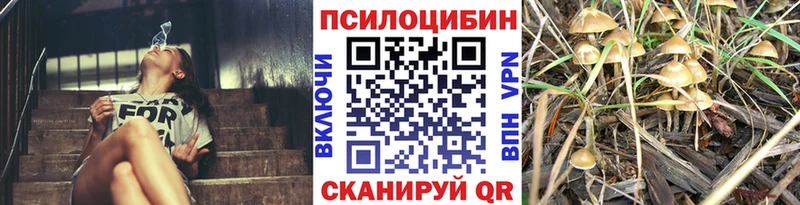 Псилоцибиновые грибы Psilocybine cubensis  Купить закладки  Лесной 